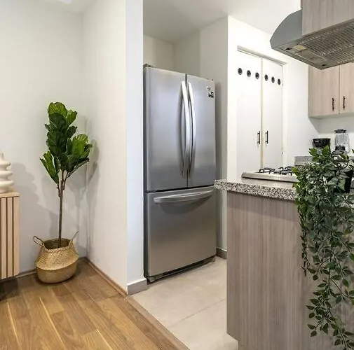 ¡hermoso Departamento En El Corazon De Roma Norte! Apartment