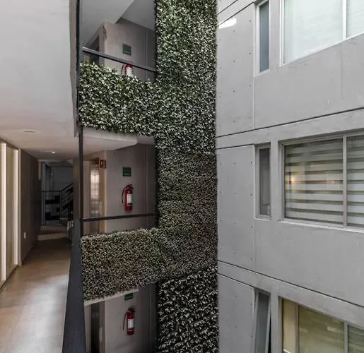 ¡hermoso Departamento En El Corazon De Roma Norte! * Mexico City